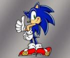 Sonic Kirpi, Sega dan Sonic videogames ana kahramanı